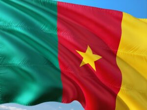 Small Business Investment Opportunities In Cameroon