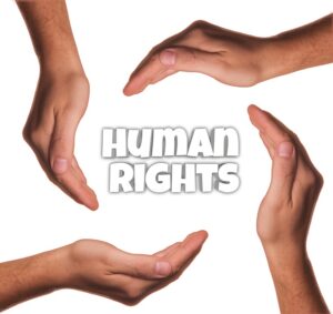 Human Rights Organization in Nigeria