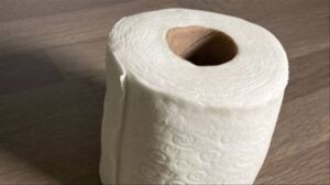 How to Make Toilet Paper: Step-By-Step Guide