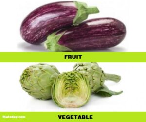 Differences between fruit and vegetable