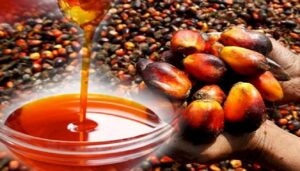 Palm Oil Producing States In Nigeria