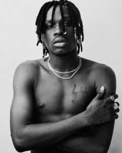 Fireboy Biography and Net worth