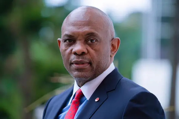 Tony Elumelu Biography &Amp; Net Worth: Cars, Houses And Facts