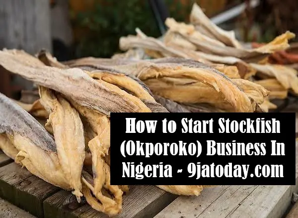 Start Stockfish (Okporoko) Business in Nigeria