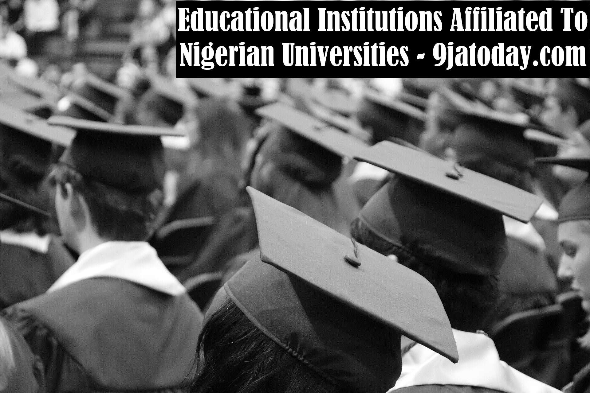 Educational Institutions Affiliated To Nigerian Universities