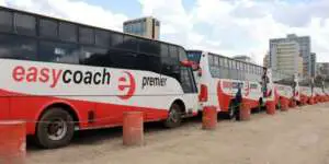 Easy Coach Online Booking of Tickets, Contacts, Fares, and Stations
