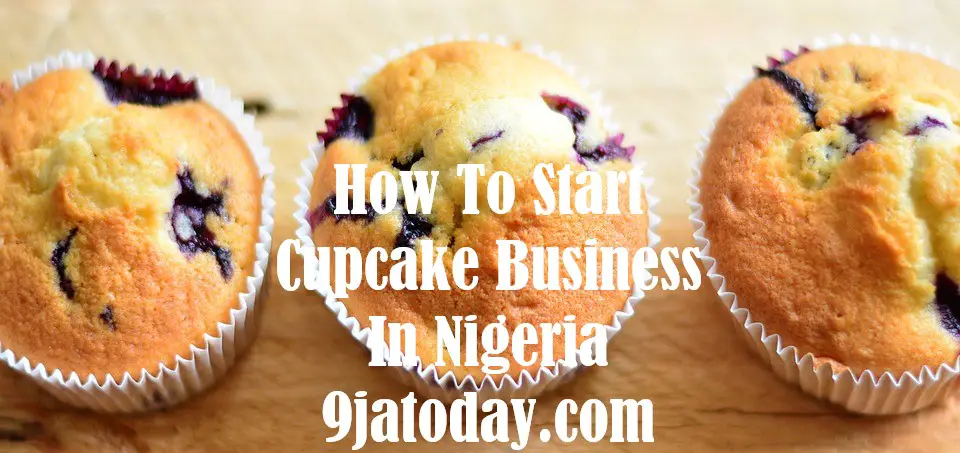 Start Cupcake Business In Nigeria