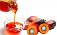 Step by Step on How to Start Palm Oil Supply Business