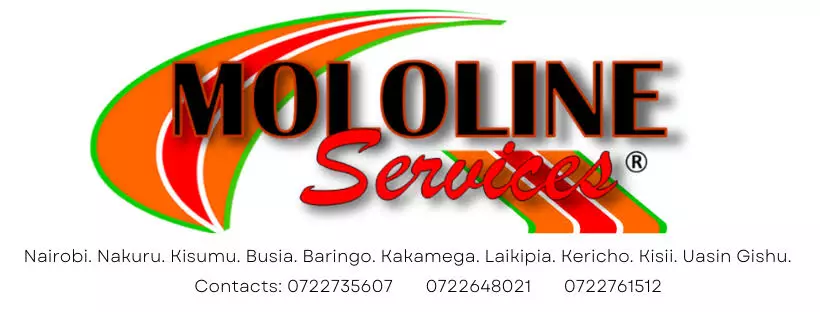 Mololine Shuttle Online Booking, Contacts, Routes, And Prices