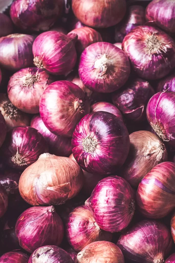 Start An Onion Farming Business