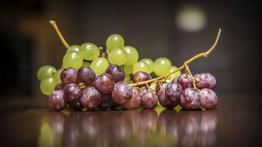 Grape Farm in Nigeria 