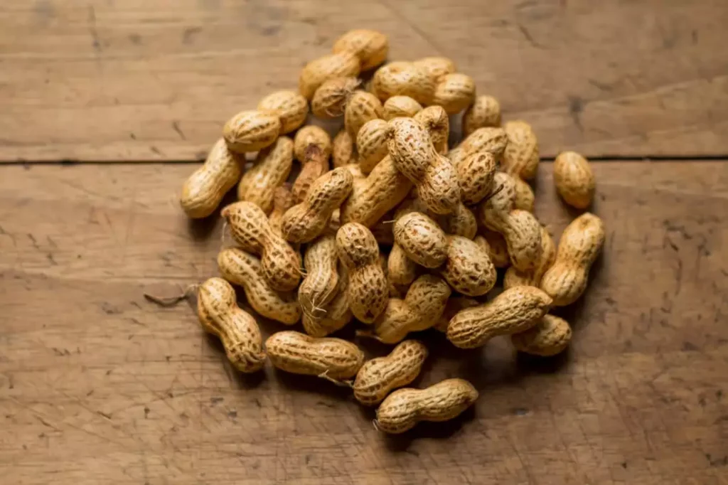Peanut Farming business 
