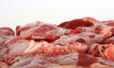 Frozen Food