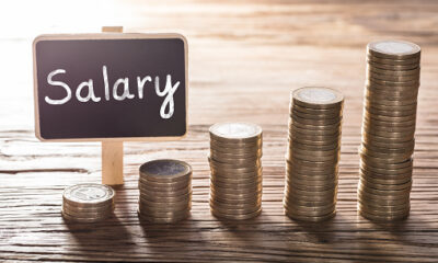 All Salary Structures in Nigeria: Full List