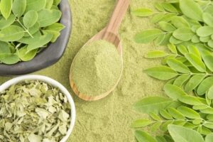 13 Health Benefits Of Moringa: All You Need To Know