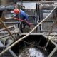 Discover The 15 Largest Oil Reserves In The World