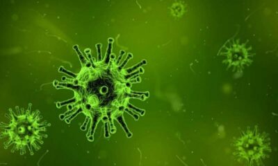 Coronavirus Hit Lagos as Italian Tests Positive