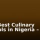 50+ Best Culinary Schools in Nigeria – Top List