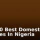 Top 10 Best Domestic Airlines In Nigeria