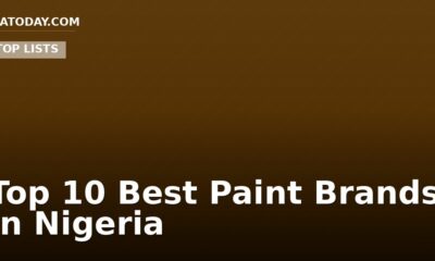 Top 10 Best Paint Brands In Nigeria