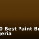 Top 10 Best Paint Brands In Nigeria