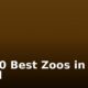 Top 10 Best Zoos in the World