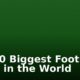 Top 10 Biggest Football Clubs in the World