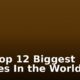 The Top 12 Biggest Whales In the World