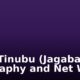 Bola Tinubu (Jagaban): Biography and Net Worth
