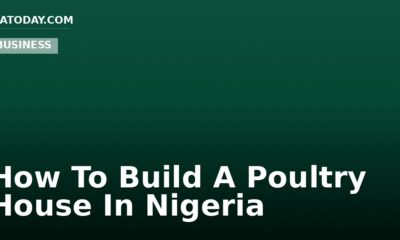 How To Build A Poultry House In Nigeria