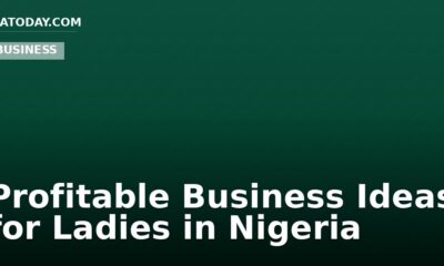 Profitable Business Ideas for Ladies in Nigeria
