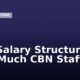 CBN Salary Structure: How Much CBN Staffs Earn