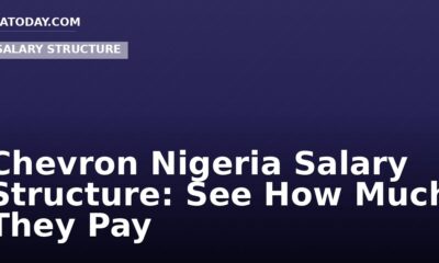 Chevron Nigeria Salary Structure: See How Much They Pay