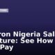 Chevron Nigeria Salary Structure: See How Much They Pay
