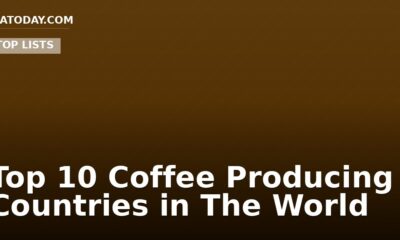 Top 10 Coffee Producing Countries in The World
