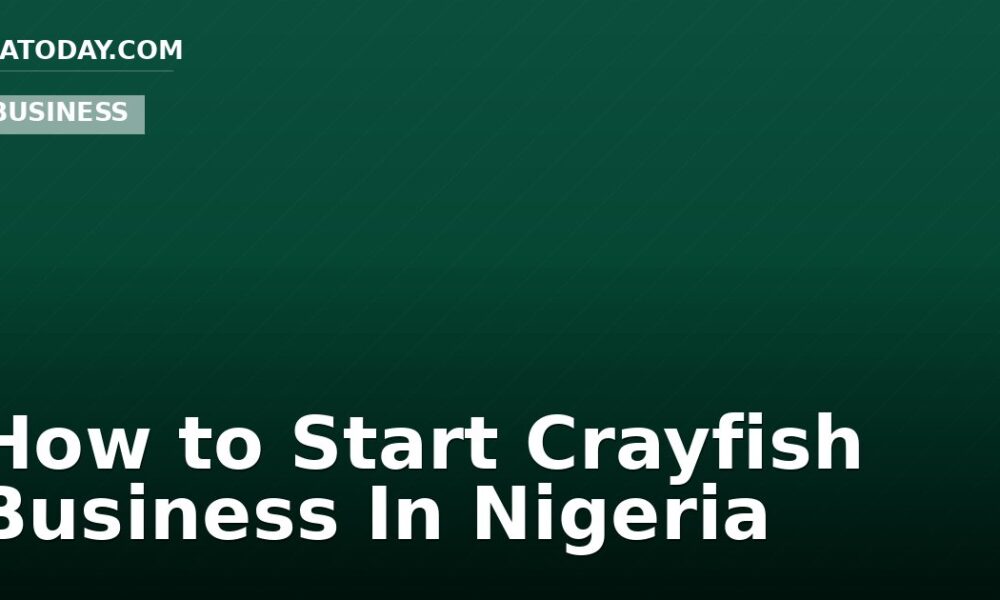 How to Start Crayfish Business In Nigeria