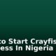 How to Start Crayfish Business In Nigeria