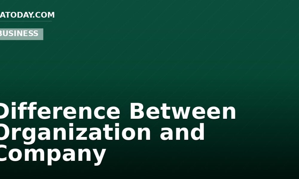 Difference Between Organization and Company
