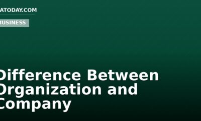Difference Between Organization and Company