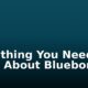 Everything You Need To Know About Blueborne Virus