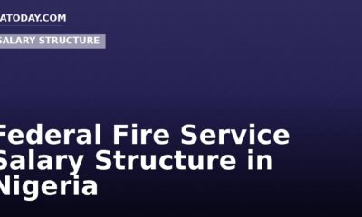 Federal Fire Service Salary Structure in Nigeria