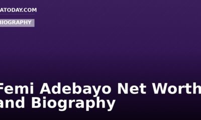 Femi Adebayo Net Worth and Biography