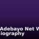Femi Adebayo Net Worth and Biography