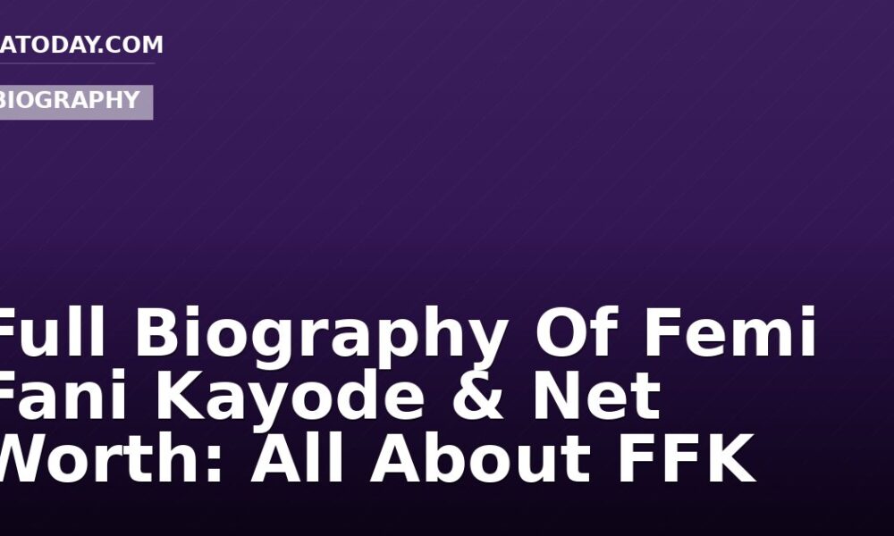 Full Biography Of Femi Fani Kayode & Net Worth: All About FFK