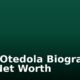 Femi Otedola Biography And Net Worth