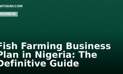 Fish Farming Business Plan in Nigeria: The Definitive Guide