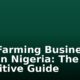 Fish Farming Business Plan in Nigeria: The Definitive Guide