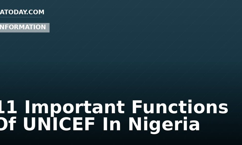 11 Important Functions Of UNICEF In Nigeria