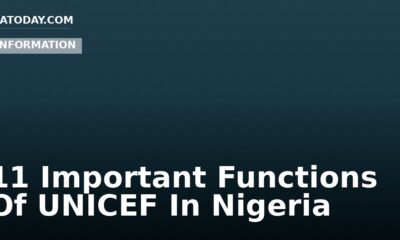 11 Important Functions Of UNICEF In Nigeria
