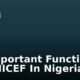 11 Important Functions Of UNICEF In Nigeria